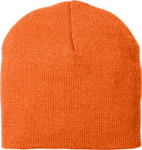 Neon Orange