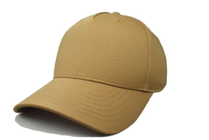 Fahrenheit 465 Five-Panel Cotton Twill